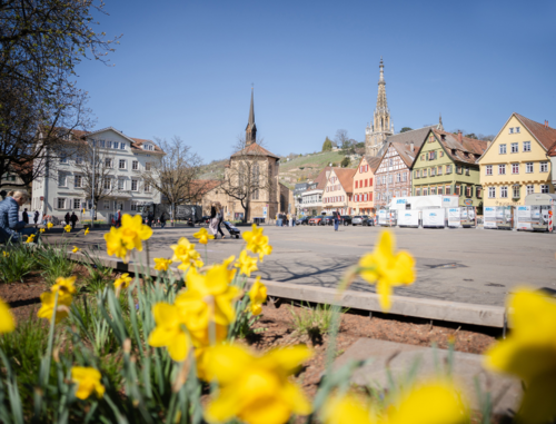 Stadt mit Blumen Stadt mit Blumen