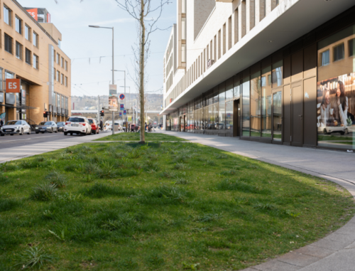 Straße mit grün Straße mit grün