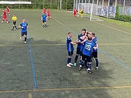 TSV Berkheim Wiese